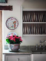 Poinsettia on kitchen worktop