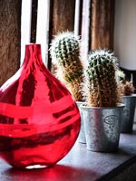 Red vase and cacti on windowsill