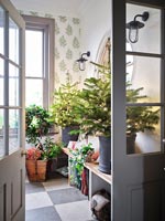 View through double doors to mudroom with Christmas trees and decorations 