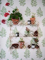 Wall mounted wire shelf with pot plants on patterned wallpaper