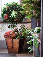 Christmas wreath and wooden trug of cut flowers and stems of holly 