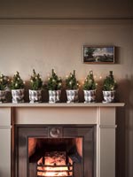 Mantelpiece decorated for Christmas 