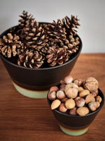 Christmas nuts and pines 