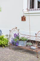Old rusty bed frame and lantern with display of summer flower containers 
