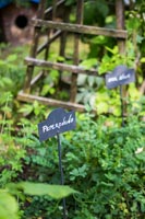 Decorative plant label in herb garden 