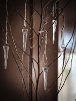 Clear decorations hanging from branches