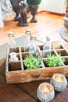 Old wooden box with glass bottles plants and candles 