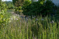 Wooden bird sculptures in long grass of country garden 