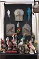 Eclectic display of bird paintings and ornaments 