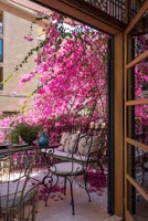 View through doorway to balcony covered in pink blossom flowers 