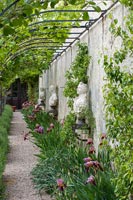 Flowering irises and classic sculptures in formal garden 