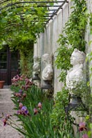 Flowering irises and classic sculptures in formal garden 