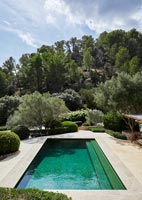 Swimming pool in Mediterranean garden 