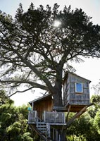 Wooden tree house exterior 