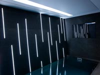 Black spa room with plunge pool 