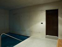 Contemporary indoor swimming pool 