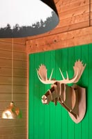 Wall mounted animal head sculpture on green painted wooden wall 