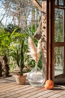 Cactus in pot and cut pampas grass in vase on decked terrace 