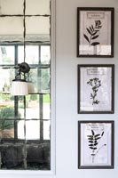 Framed botanical drawings on wall 