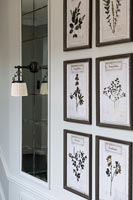 Display of black and white botanical pictures in frames on wall 