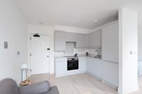 Small pale grey kitchen in compact living space 