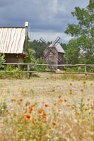 View across meadow to wooden barn and windmill 