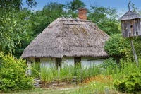 Exterior of old thatched cottage 