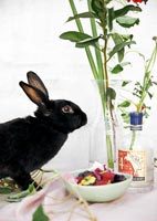 Black rabbit on table with flower arrangements 