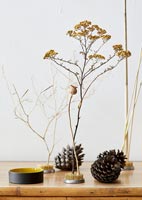 Dried flowers and grasses in small vases on cane sideboard 