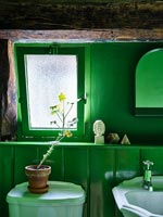 Bright green painted country bathroom