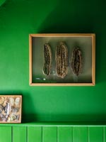 Framed artwork on bright green painted wall 