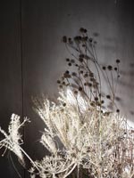 Detail of dried flowers and grasses 