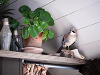 Stuffed bird and houseplant displayed on high shelf  