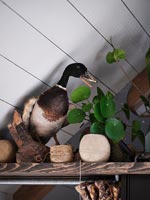 Taxidermy duck and houseplant displayed on high shelf  