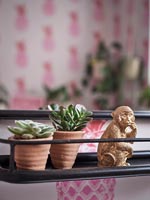 Small succulent plants and monkey ornament - detail