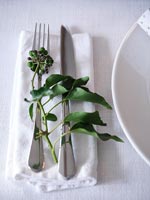 Sprig of ivy on cutlery to decorate dining table for Christmas 