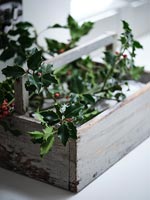Holly leaves in wooden box