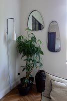 Large houseplant and wall mounted mirrors 