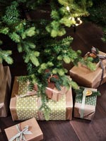Detail of Christmas gifts under tree 