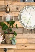 Houseplant next to wooden panelled wall and clock 