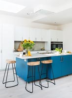 Modern blue and white kitchen 