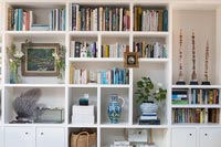 Living room storage, bookshelves  