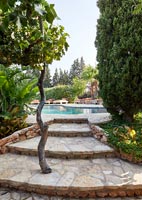 Stone steps towards area of garden with swimming pool 