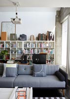 Modern sofa in front of bookcase with vintage ornaments