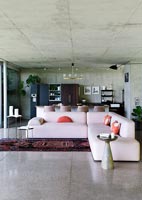 Corner sofa with kitchen and concrete walls 