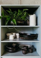 Open kitchen shelving with crockery and houseplants