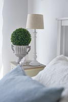 Lamp and small topiary plant on modern bedside table 