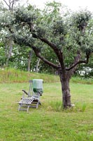 Wooden recliner under tree in country garden 