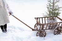 Garden cart with Christmas tree