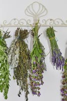 Display of flowers and herbs drying on ornate hooks 